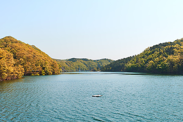 포토 JPG 주간 풍경 사람없음 야외 관광지 봄 숲 충청북도 국내여행 초평저수지 국내포토 자연요소 계절 여행 저수지 충청도 파일형식