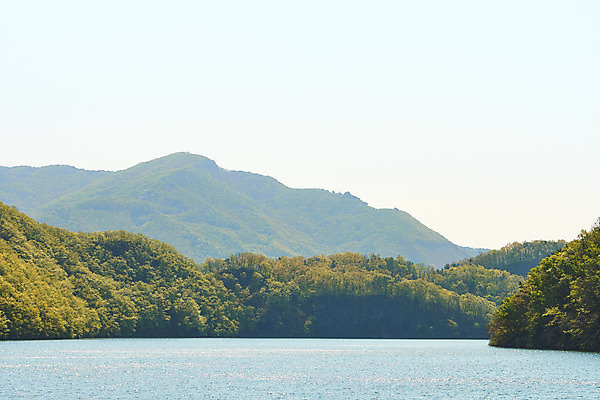포토 JPG 주간 풍경 사람없음 야외 관광지 봄 숲 충청북도 국내여행 초평저수지 국내포토 자연요소 계절 여행 저수지 충청도 파일형식