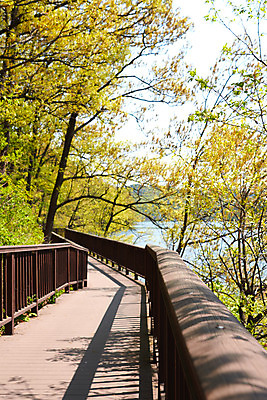 포토 JPG 주간 나무 풍경 사람없음 야외 관광지 봄 산책로 충청북도 국내여행 초평저수지 국내포토 자연요소 식물 계절 길 여행 저수지 충청도 파일형식