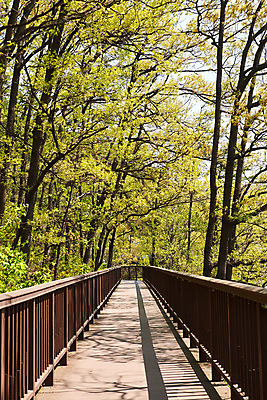 포토 JPG 주간 나무 풍경 사람없음 야외 관광지 봄 산책로 충청북도 국내여행 초평저수지 국내포토 자연요소 식물 계절 길 여행 저수지 충청도 파일형식