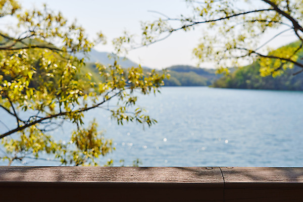 포토 JPG 주간 호수 풍경 사람없음 야외 아웃포커스 관광지 봄 나뭇가지 충청북도 국내여행 초평저수지 국내포토 자연요소 나무 계절 여행 촬영기법 저수지 충청도 파일형식