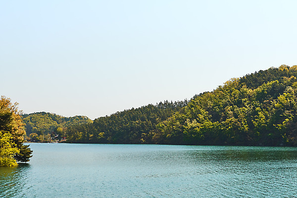 포토 JPG 주간 호수 하늘 풍경 사람없음 야외 관광지 봄 숲 충청북도 국내여행 초평저수지 국내포토 자연요소 계절 여행 저수지 충청도 파일형식