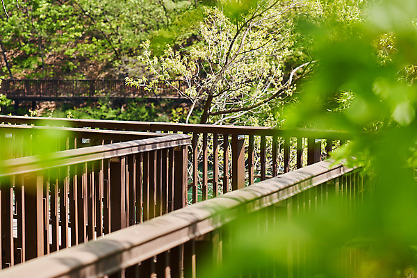포토 JPG 주간 풍경 사람없음 야외 관광지 봄 산책로 소프트포커스 충청북도 국내여행 초평저수지 국내포토 자연요소 계절 길 여행 촬영기법 저수지 충청도 파일형식