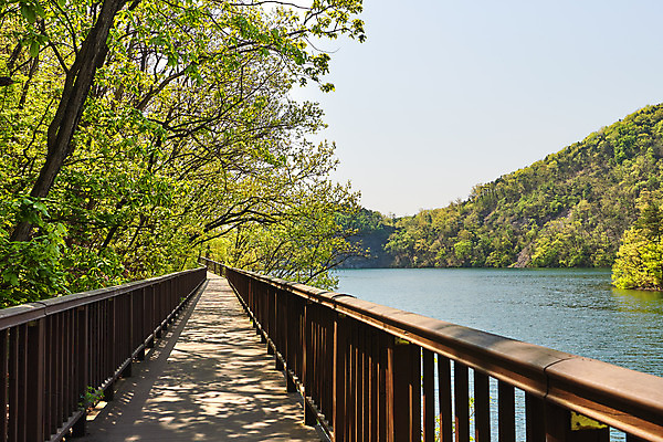 포토 JPG 주간 나무 풍경 사람없음 야외 관광지 봄 산책로 숲 충청북도 국내여행 초평저수지 국내포토 자연요소 식물 계절 길 여행 저수지 충청도 파일형식