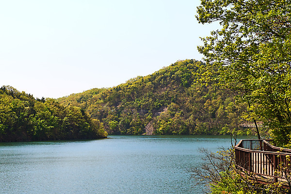 포토 JPG 주간 하늘 풍경 사람없음 야외 관광지 봄 산책로 숲 충청북도 국내여행 초평저수지 국내포토 자연요소 계절 길 여행 저수지 충청도 파일형식
