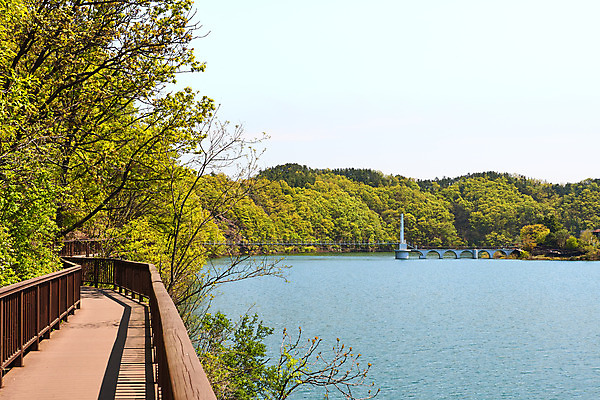 포토 JPG 주간 하늘 풍경 사람없음 야외 관광지 봄 산책로 숲 충청북도 국내여행 초평저수지 국내포토 자연요소 계절 길 여행 저수지 충청도 파일형식