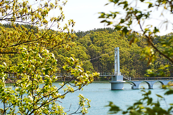 포토 JPG 주간 풍경 사람없음 야외 관광지 봄 나뭇가지 소프트포커스 충청북도 국내여행 초평저수지 가교 국내포토 자연요소 나무 건축물 계절 여행 촬영기법 저수지 충청도 파일형식