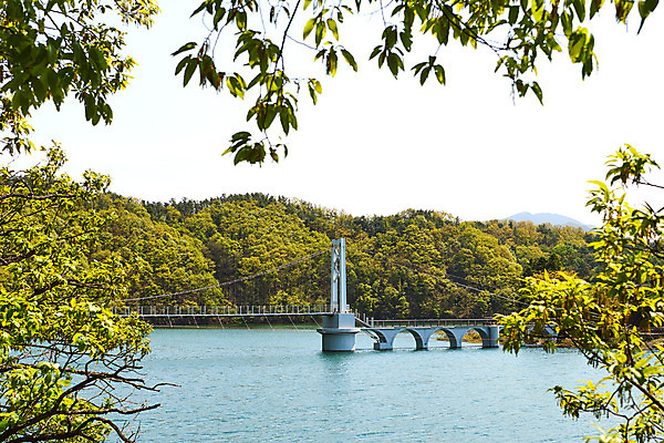 포토 JPG 주간 풍경 사람없음 야외 관광지 봄 숲 충청북도 국내여행 초평저수지 가교 국내포토 자연요소 건축물 계절 여행 저수지 충청도 파일형식