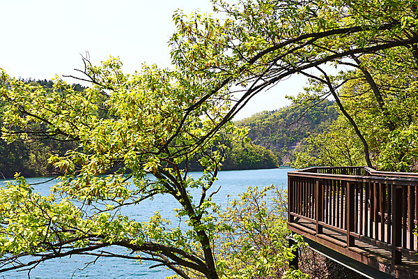 포토 JPG 주간 나무 풍경 사람없음 야외 관광지 봄 산책로 충청북도 국내여행 초평저수지 국내포토 자연요소 식물 계절 길 여행 저수지 충청도 파일형식