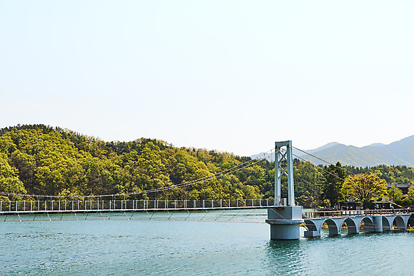 포토 JPG 주간 하늘 풍경 사람없음 야외 관광지 봄 숲 충청북도 국내여행 초평저수지 가교 국내포토 자연요소 건축물 계절 여행 저수지 충청도 파일형식