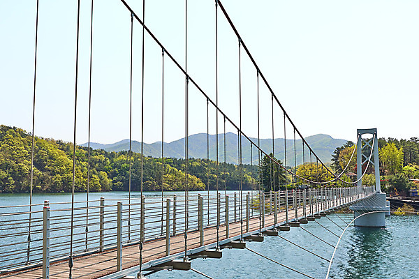 포토 JPG 주간 하늘 풍경 사람없음 야외 관광지 봄 숲 충청북도 국내여행 초평저수지 가교 국내포토 자연요소 건축물 계절 여행 저수지 충청도 파일형식