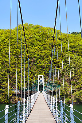 포토 JPG 주간 풍경 사람없음 야외 관광지 봄 숲 충청북도 국내여행 초평저수지 가교 국내포토 자연요소 건축물 계절 여행 저수지 충청도 파일형식