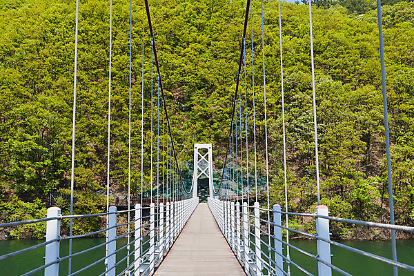 포토 JPG 주간 풍경 사람없음 야외 관광지 봄 숲 충청북도 국내여행 초평저수지 가교 국내포토 자연요소 건축물 계절 여행 저수지 충청도 파일형식