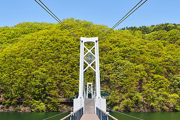 포토 JPG 주간 풍경 사람없음 야외 관광지 봄 숲 충청북도 국내여행 초평저수지 가교 국내포토 자연요소 건축물 계절 여행 저수지 충청도 파일형식