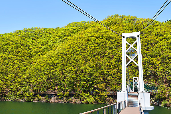 포토 JPG 주간 풍경 사람없음 야외 관광지 봄 숲 충청북도 국내여행 초평저수지 가교 국내포토 자연요소 건축물 계절 여행 저수지 충청도 파일형식