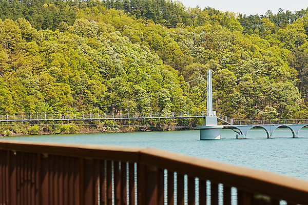 포토 JPG 주간 풍경 사람없음 야외 관광지 봄 숲 충청북도 국내여행 초평저수지 가교 국내포토 자연요소 건축물 계절 여행 저수지 충청도 파일형식