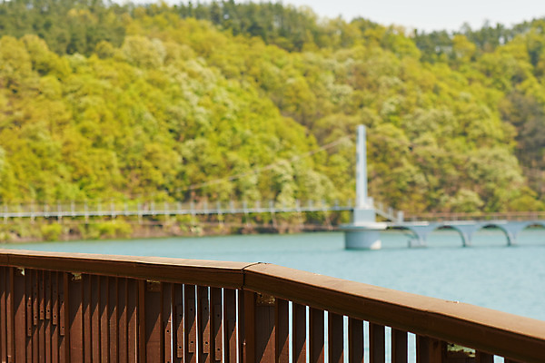 포토 JPG 주간 풍경 사람없음 야외 아웃포커스 관광지 봄 숲 충청북도 국내여행 초평저수지 가교 국내포토 자연요소 건축물 계절 여행 촬영기법 저수지 충청도 파일형식