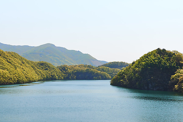 포토 JPG 주간 호수 하늘 풍경 사람없음 야외 관광지 봄 숲 충청북도 국내여행 초평저수지 국내포토 자연요소 계절 여행 저수지 충청도 파일형식