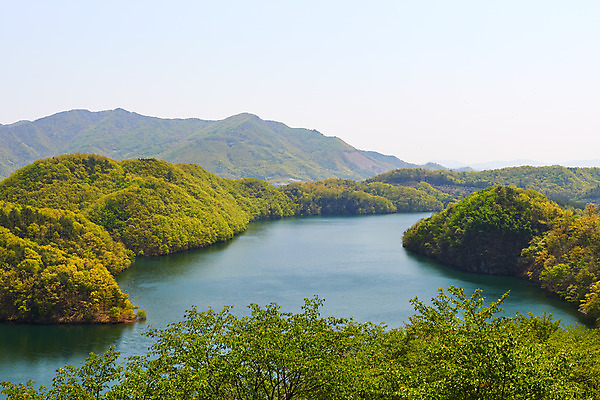 포토 JPG 주간 호수 하늘 풍경 사람없음 야외 관광지 봄 숲 충청북도 국내여행 초평저수지 국내포토 자연요소 계절 여행 저수지 충청도 파일형식