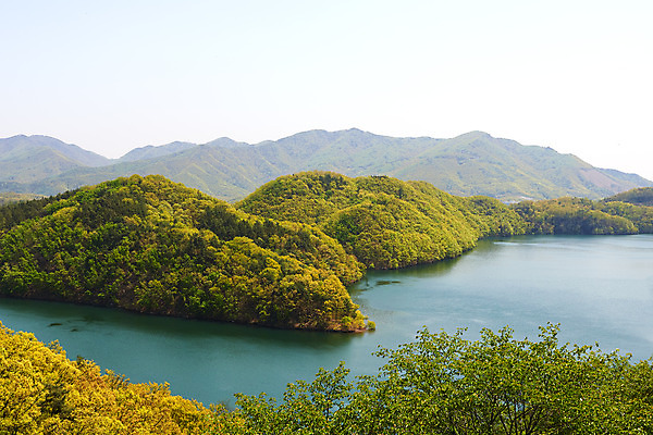 포토 JPG 주간 하늘 풍경 사람없음 야외 관광지 봄 숲 충청북도 국내여행 초평저수지 국내포토 자연요소 계절 여행 저수지 충청도 파일형식