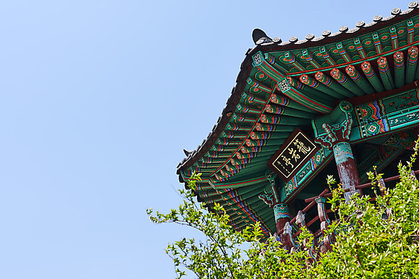 포토 JPG 주간 로우앵글 하늘 나뭇잎 풍경 사람없음 야외 관광지 봄 정자 충청북도 국내여행 초평저수지 현판 국내포토 자연요소 건축물 계절 뷰포인트 여행 잎 저수지 충청도 파일형식