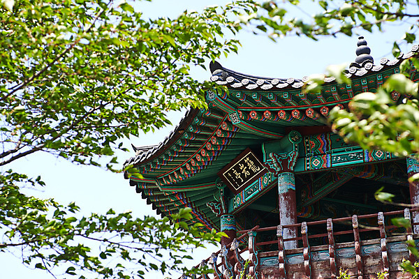 포토 JPG 주간 로우앵글 나뭇잎 풍경 사람없음 야외 관광지 봄 정자 충청북도 국내여행 초평저수지 국내포토 자연요소 건축물 계절 뷰포인트 여행 잎 저수지 충청도 파일형식