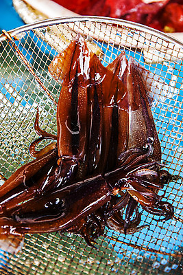 포토 JPG 주간 여러마리 사람없음 야외 아웃포커스 채망 해산물 오징어 강원도 속초 국내포토 자연요소 다수 주방용품 연체동물 한국 촬영기법 수중동물 파일형식