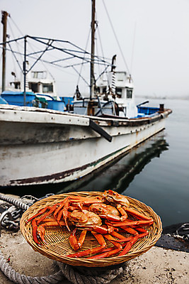 포토 JPG 주간 바다 사람없음 야외 소쿠리 항구 해산물 강원도 속초 홍게 선박 국내포토 자연요소 수상교통 교통시설 한국 바구니 게 파일형식
