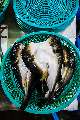 포토 JPG 식재료 실내 어류 사람없음 하이앵글 바구니 전시 복어 해산물 담기 강원도 손질 어시장 주문진 국내포토 뷰포인트 모션 한국 내부 수중동물 시장 해수욕장 강릉 파일형식