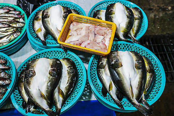 포토 JPG 식재료 실내 어류 사람없음 바구니 전시 복어 해산물 담기 강원도 손질 생선알 어시장 주문진 국내포토 모션 한국 내부 알 수중동물 시장 해수욕장 강릉 파일형식