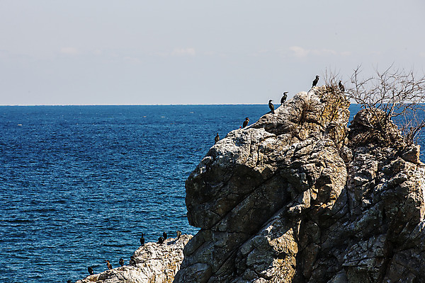 포토 JPG 주간 바다 풍경 사람없음 야외 바위 강원도 동해 국내여행 동해시 국내포토 자연요소 여행 한국 돌_바위 파일형식