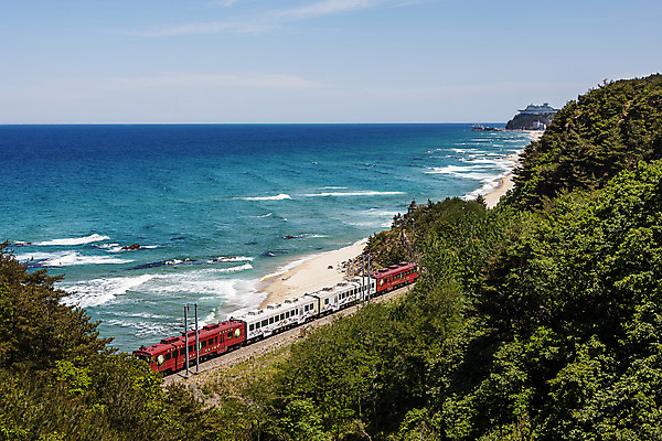 포토 JPG 주간 바다 풍경 사람없음 야외 기차 숲 강원도 동해 국내여행 전경 동해시 국내포토 자연요소 육상교통 여행 대중교통 한국 파일형식 탑뷰