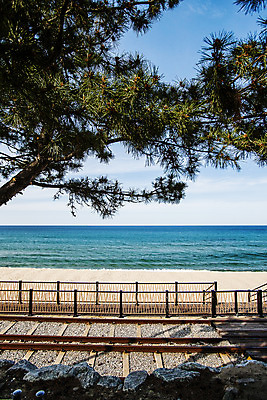 포토 JPG 주간 나무 바다 풍경 사람없음 야외 기찻길 강원도 동해 국내여행 동해시 국내포토 자연요소 식물 여행 한국 파일형식