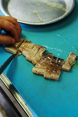 포토 JPG 손 식재료 쟁반 실내 신체부위 잡기 자르기 재료손질 해산물 오징어 강원도 속초 국내포토 모션 연체동물 한국 사람 내부 수중동물 손질 파일형식