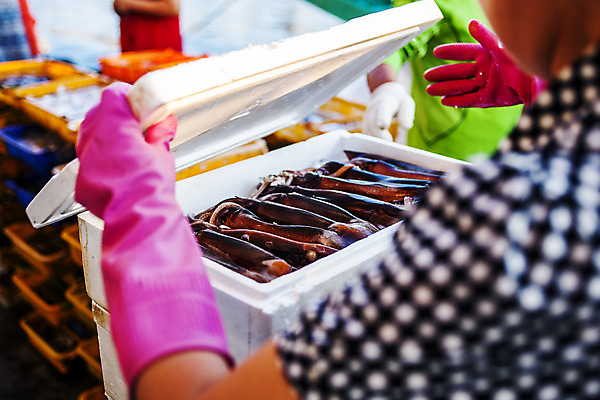 포토 JPG 주간 사람 상반신 야외 두명 뒷모습 아웃포커스 오픈 소프트포커스 어부 해산물 오징어 강원도 고무장갑 속초 스티로폼박스 국내포토 자연요소 직업 뷰포인트 장갑 연체동물 한국 촬영기법 상자 수중동물 고무 파일형식