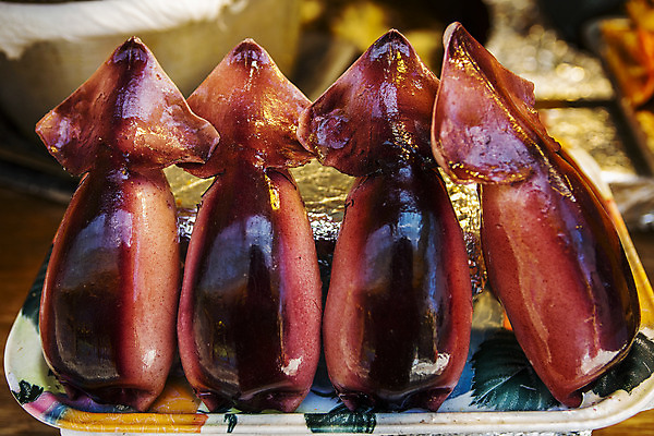 포토 JPG 식재료 쟁반 실내 사람없음 아웃포커스 해산물 오징어 일렬 강원도 속초 오징어순대 국내포토 연체동물 한국 촬영기법 내부 수중동물 순대 파일형식