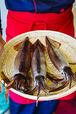 포토 JPG 실내 세마리 한명 들기 사람 상반신 앞모습 소쿠리 앞치마 해산물 오징어 강원도 속초 국내포토 1 뷰포인트 모션 연체동물 한국 3 내부 바구니 수중동물 파일형식