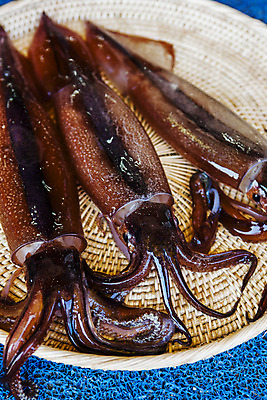 포토 JPG 실내 세마리 근접촬영 사람없음 소쿠리 해산물 오징어 강원도 속초 국내포토 뷰포인트 연체동물 한국 3 내부 바구니 수중동물 파일형식