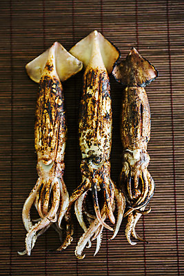 포토 JPG 음식 식재료 실내 사람없음 하이앵글 해산물 오징어 강원도 나무발 속초 오징어구이 국내포토 뷰포인트 연체동물 한국 내부 수중동물 구이 파일형식