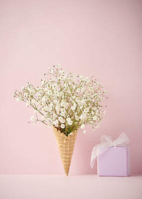 포토 계절 꽃 분홍색 백그라운드 컨셉 실내 선물 내부 상자 콘 한해살이풀 파일형식 아이스크림콘 감성 안개꽃 스튜디오촬영 선물상자 봄 JPG 사람없음 분홍색배경 따뜻함 오브젝트 국내포토