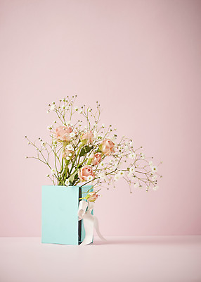 포토 JPG 스튜디오촬영 실내 따뜻함 사람없음 선물상자 장미 봄 오브젝트 감성 안개꽃 분홍색배경 국내포토 계절 꽃 분홍색 백그라운드 컨셉 선물 내부 상자 한해살이풀 파일형식