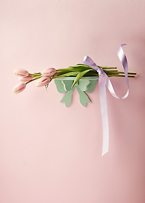 포토 JPG 스튜디오촬영 리본 선반 실내 따뜻함 사람없음 봄 튤립 오브젝트 감성 분홍색배경 국내포토 계절 꽃 분홍색 가구 백그라운드 컨셉 내부 파일형식