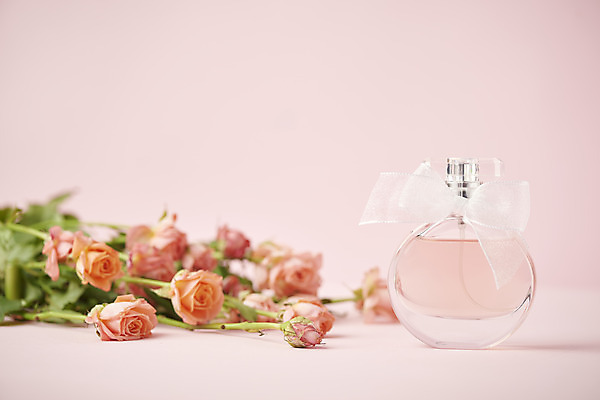 포토 JPG 스튜디오촬영 리본 실내 따뜻함 사람없음 장미 봄 오브젝트 감성 향수병 분홍색배경 국내포토 계절 꽃 분홍색 백그라운드 컨셉 내부 향수 병_담는 파일형식
