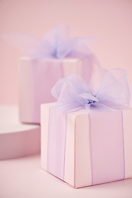 포토 JPG 스튜디오촬영 리본 실내 따뜻함 사람없음 아웃포커스 선물상자 봄 오브젝트 감성 분홍색배경 국내포토 계절 분홍색 백그라운드 컨셉 촬영기법 선물 내부 상자 파일형식