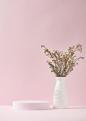 포토 JPG 스튜디오촬영 꽃 실내 따뜻함 사람없음 꽃병 봄 원형 오브젝트 감성 단상 분홍색배경 국내포토 도형 식물 계절 분홍색 백그라운드 컨셉 내부 파일형식