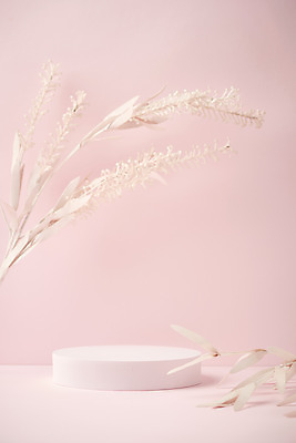 포토 JPG 스튜디오촬영 실내 따뜻함 사람없음 봄 원형 오브젝트 감성 조화 단상 꽃가지 분홍색배경 국내포토 도형 계절 꽃 분홍색 백그라운드 컨셉 내부 나뭇가지 파일형식