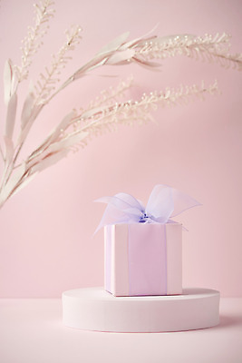 포토 JPG 스튜디오촬영 실내 따뜻함 사람없음 선물상자 봄 원형 오브젝트 감성 조화 단상 꽃가지 분홍색배경 국내포토 도형 계절 꽃 분홍색 백그라운드 컨셉 선물 내부 상자 나뭇가지 파일형식