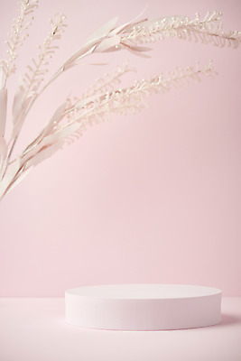 포토 JPG 스튜디오촬영 실내 따뜻함 사람없음 봄 원형 오브젝트 감성 조화 단상 꽃가지 분홍색배경 국내포토 도형 계절 꽃 분홍색 백그라운드 컨셉 내부 나뭇가지 파일형식