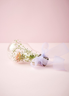 포토 JPG 스튜디오촬영 리본 전구 실내 따뜻함 사람없음 장미 봄 오브젝트 감성 안개꽃 분홍색배경 국내포토 계절 꽃 분홍색 백그라운드 컨셉 내부 한해살이풀 파일형식