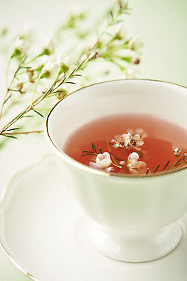 포토 JPG 스튜디오촬영 꽃 실내 따뜻함 근접촬영 사람없음 아웃포커스 봄 차 찻잔 컵받침 오브젝트 감성 초록배경 국내포토 식물 계절 음료 뷰포인트 백그라운드 컨셉 잔 촬영기법 내부 초록색 받침대 파일형식